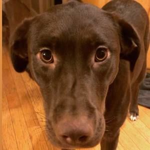 Meet your Posher, Manuel